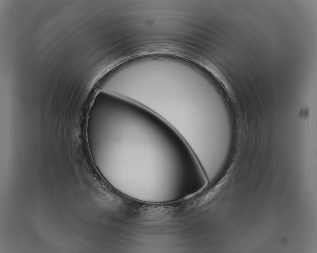 X0000091000826200708021223