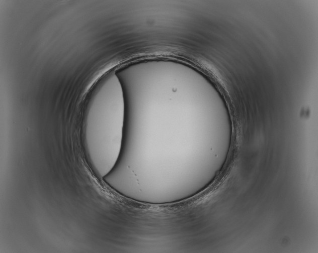 X0000091000827200708021223