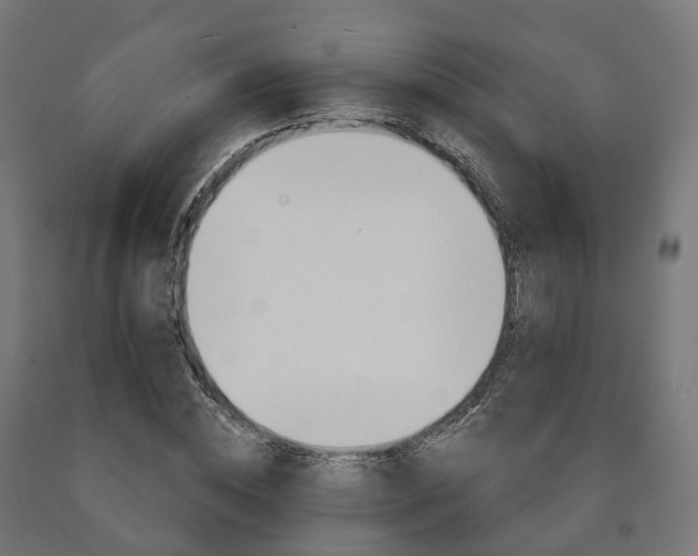 X0000091000828200708021223