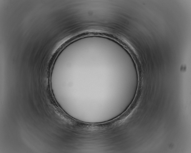 X0000091000829200708021223