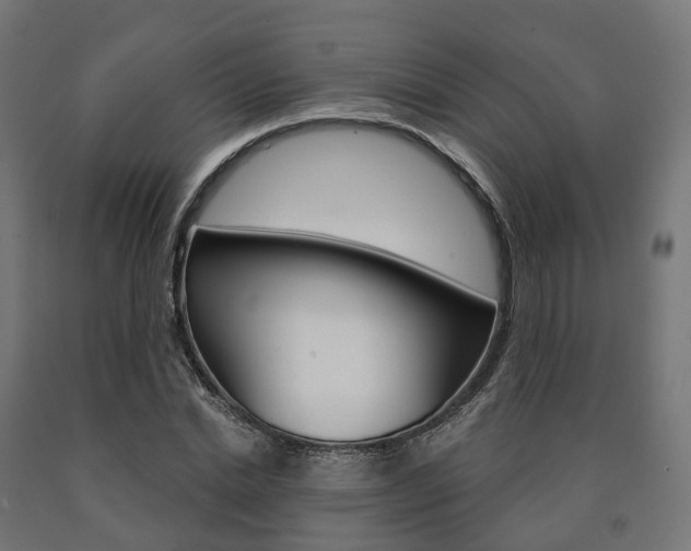 X0000091000830200708021223