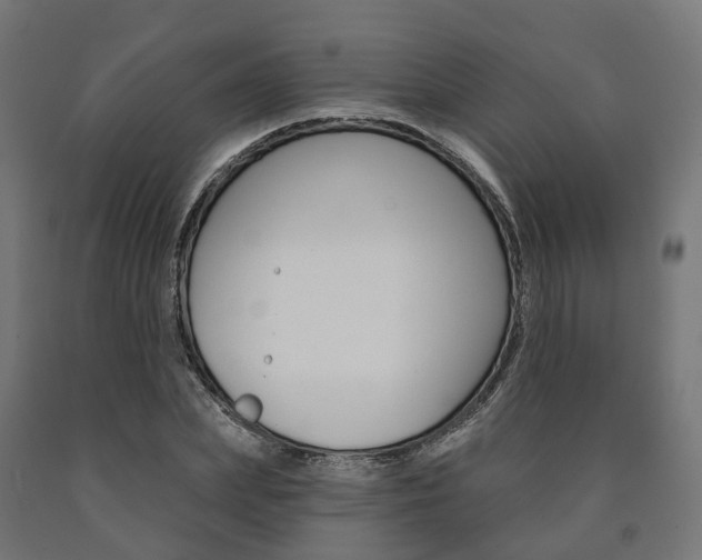 X0000091000831200708021223