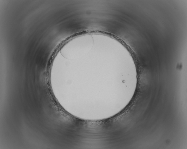 X0000091000832200708021223
