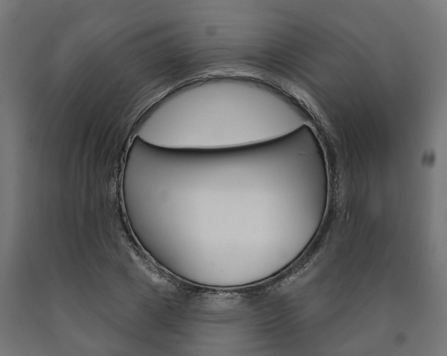 X0000091000833200708021223