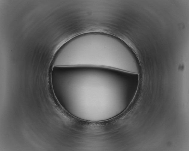 X0000091000834200708021223