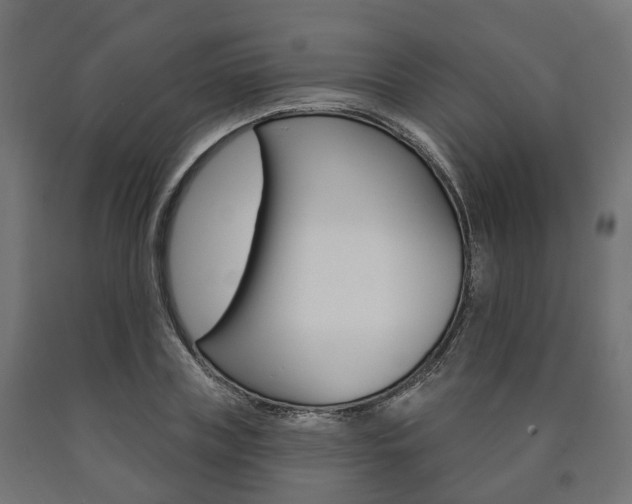 X0000091000835200708021223