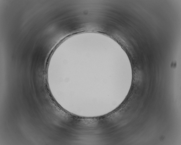 X0000091000836200708021223
