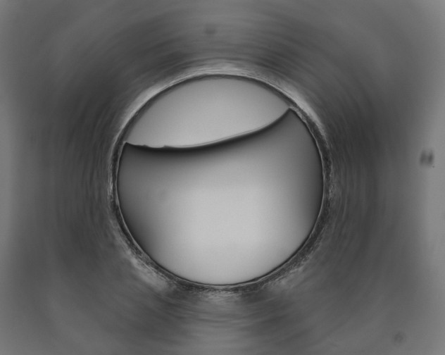 X0000091000837200708021223