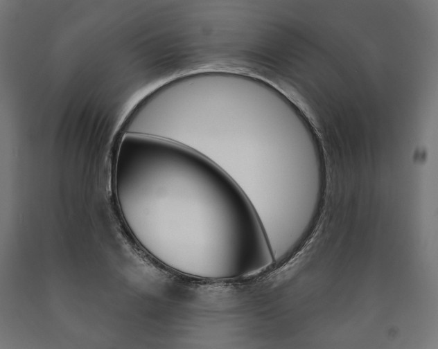 X0000091000838200708021223