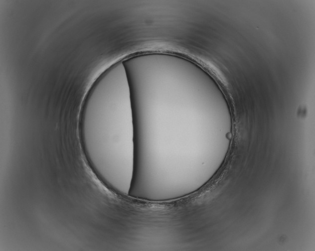 X0000091000839200708021223