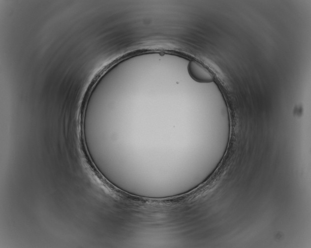 X0000091000840200708021223
