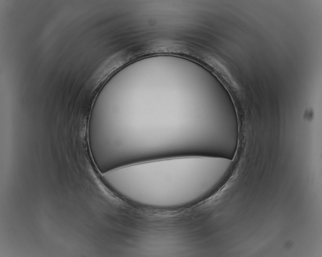 X0000091000841200708021223