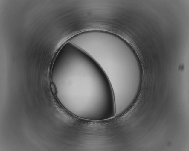 X0000091000842200708021223