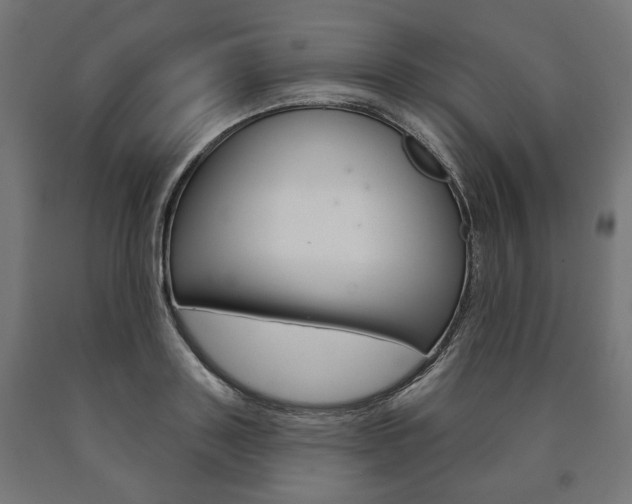 X0000091000843200708021223