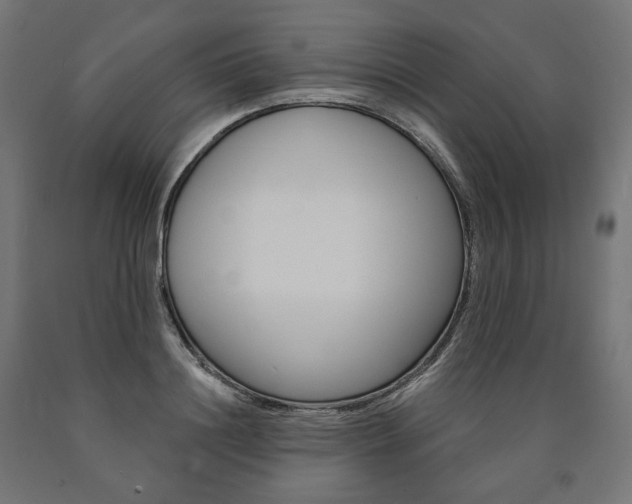 X0000091000844200708021223