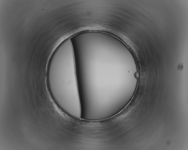 X0000091000845200708021223