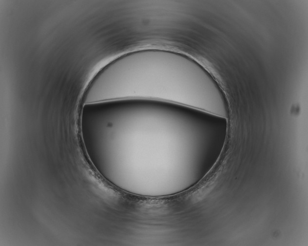 X0000091000846200708021223
