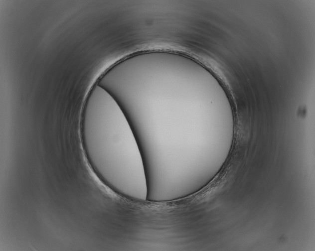 X0000091000847200708021223