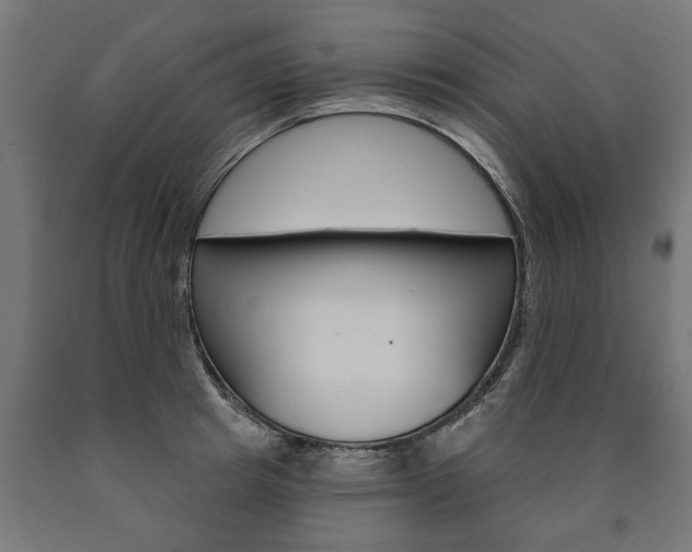 X0000091000849200708021223