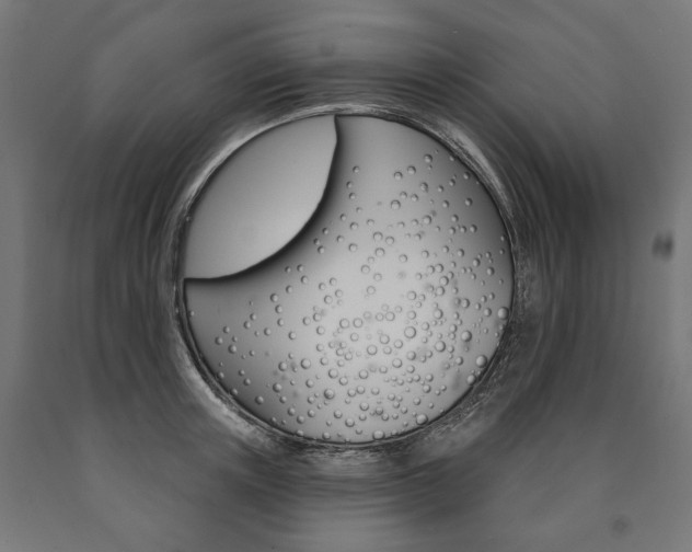 X0000091000851200708021223