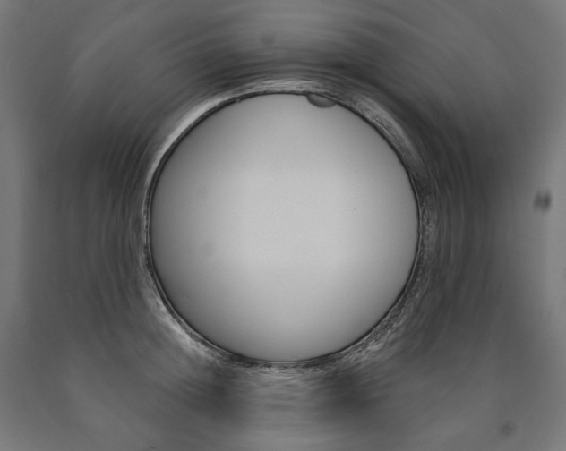 X0000091000852200708021223