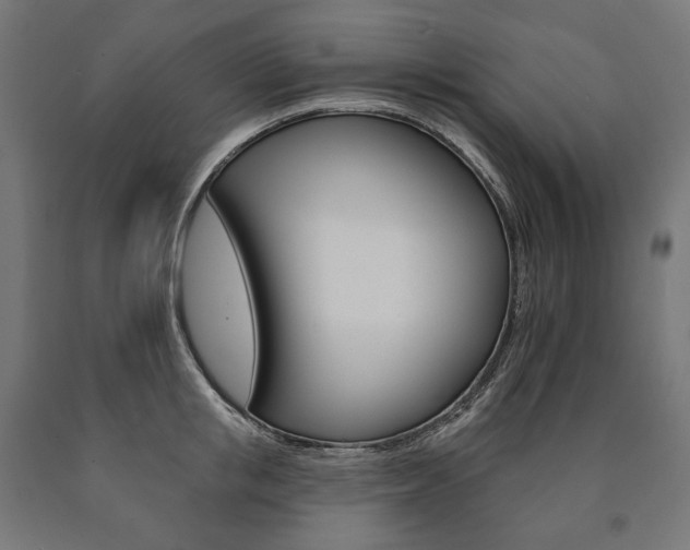X0000091000853200708021223