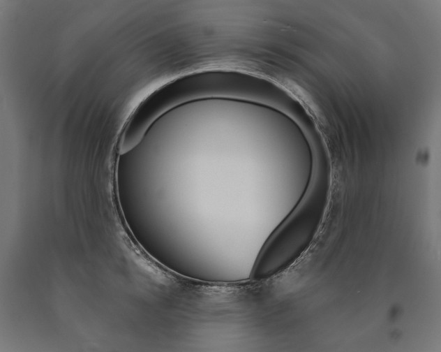 X0000091000854200708021223