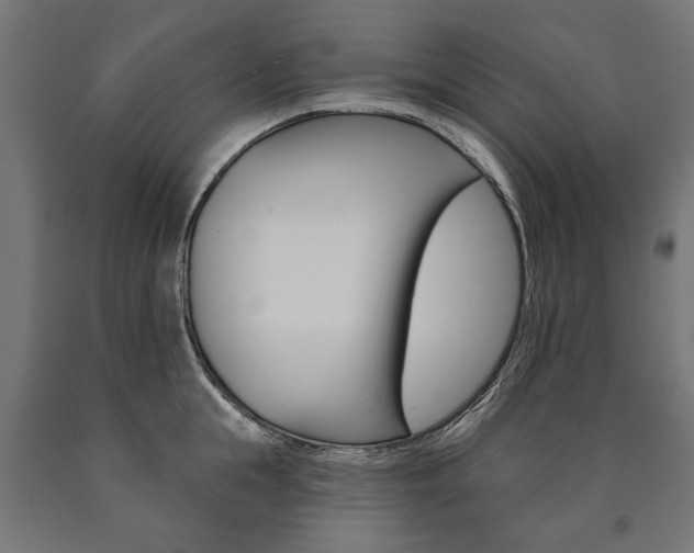 X0000091000855200708021223
