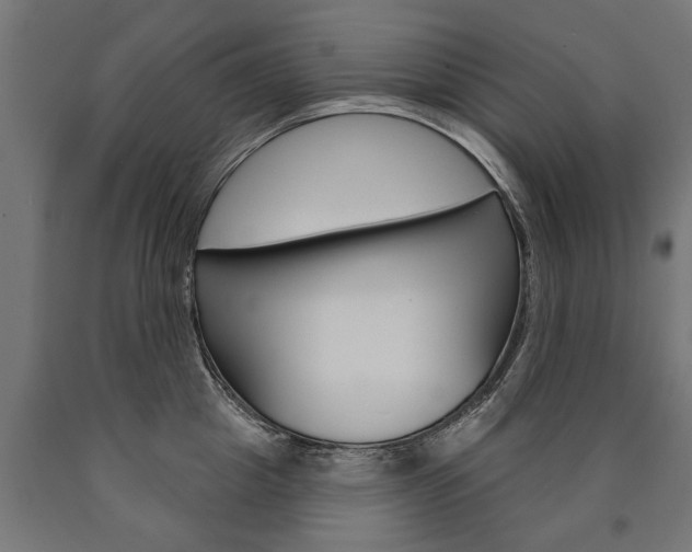 X0000091000857200708021223