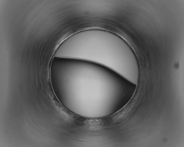 X0000091000858200708021223