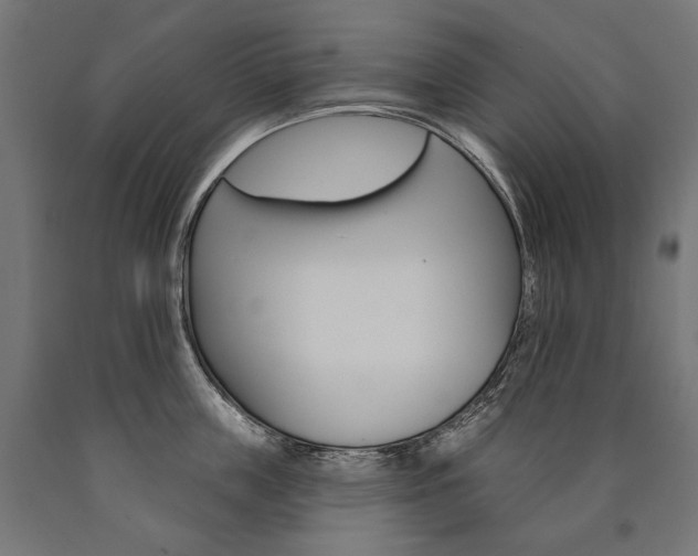 X0000091000859200708021223