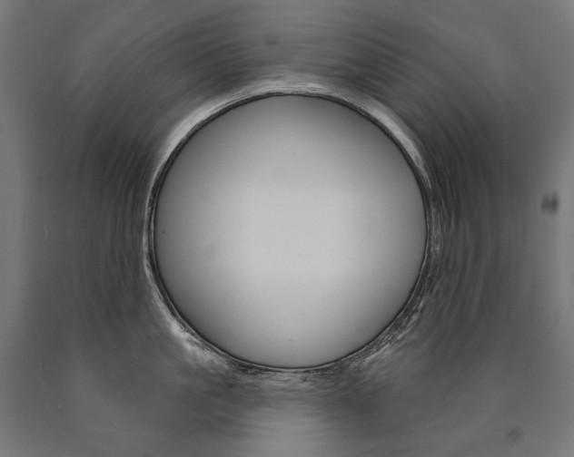 X0000091000861200708021223