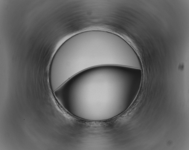 X0000091000862200708021223