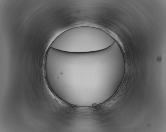 X0000091000863200708021223