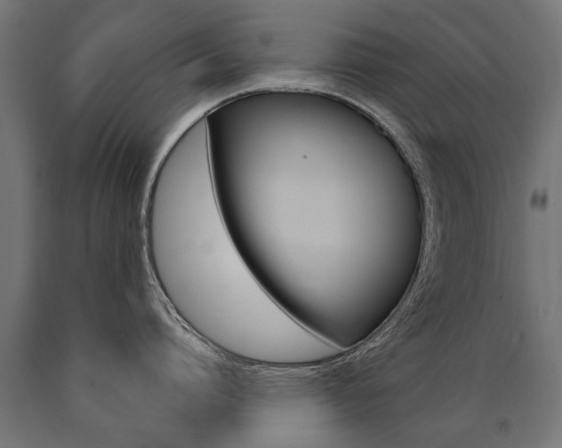 X0000091000864200708021223