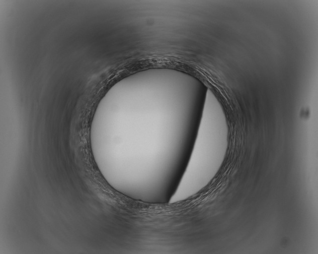 X0000091000865200708021223