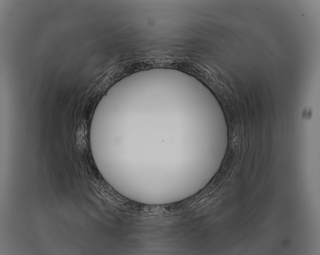 X0000091000866200708021223