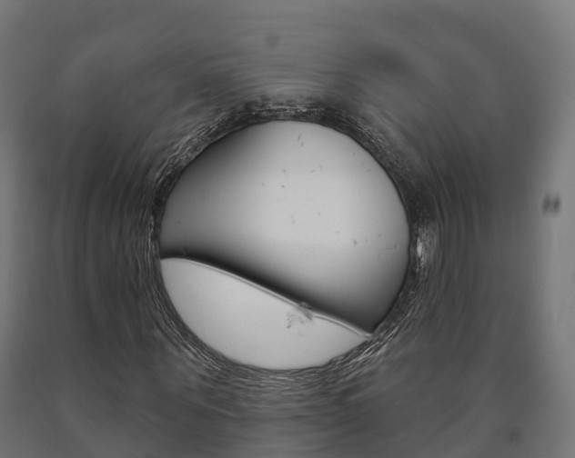 X0000091000867200708021223