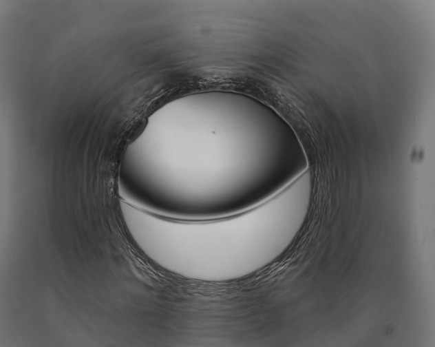 X0000091000868200708021223