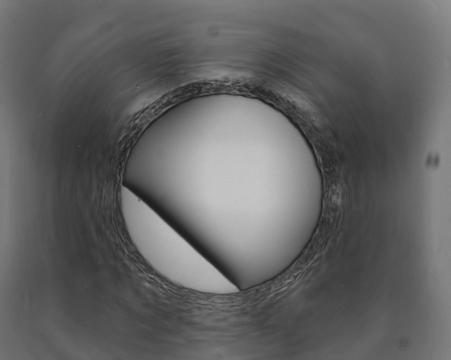 X0000091000869200708021223