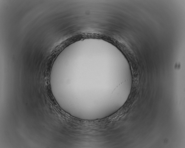 X0000091000870200708021223