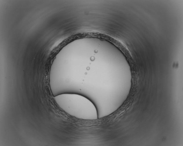 X0000091000871200708021223