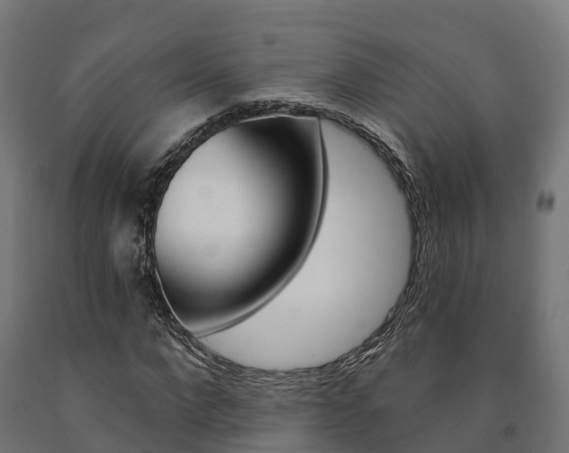 X0000091000872200708021223