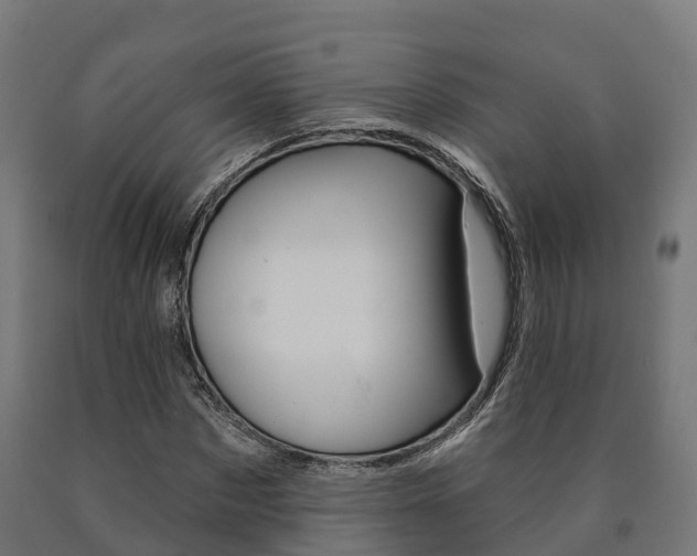 X0000091000873200708021223