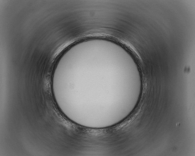 X0000091000874200708021223