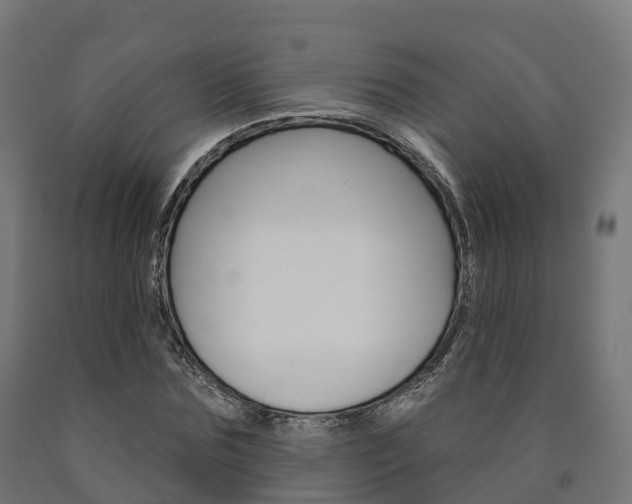 X0000091000875200708021223