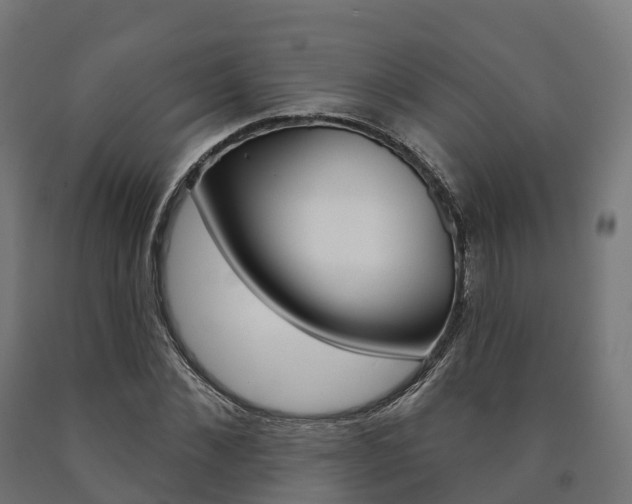 X0000091000876200708021223