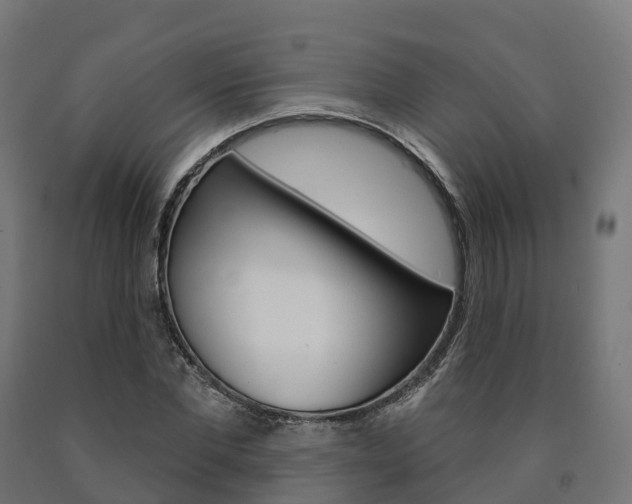 X0000091000877200708021223