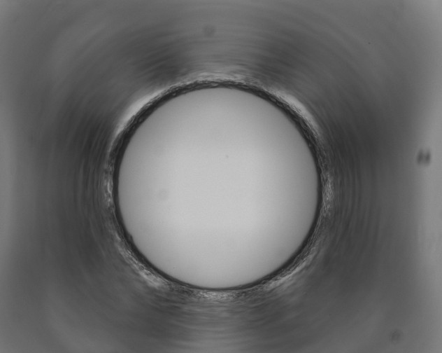 X0000091000878200708021223