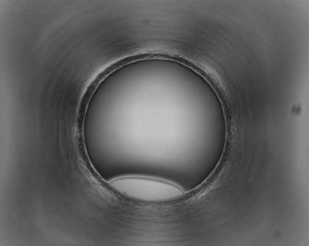 X0000091000880200708021223